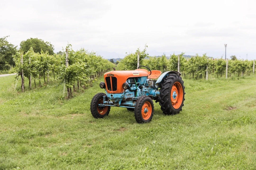 1965 Lamborghini Tractors - Image 4 of 30