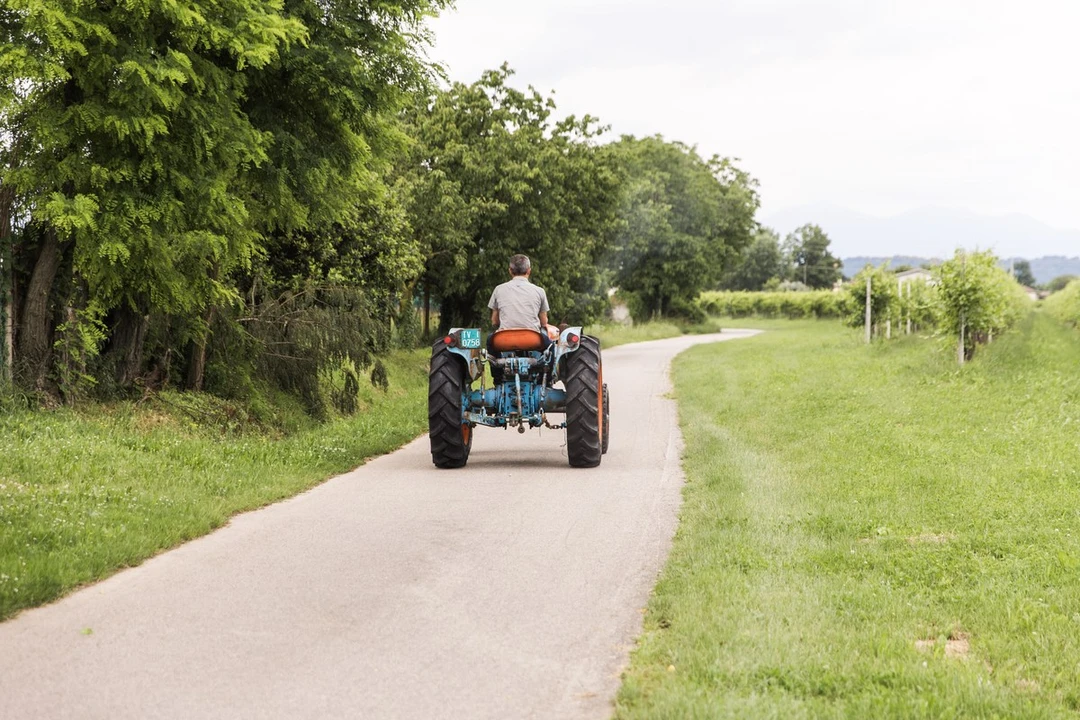 1965 Lamborghini Tractors - Image 12 of 30
