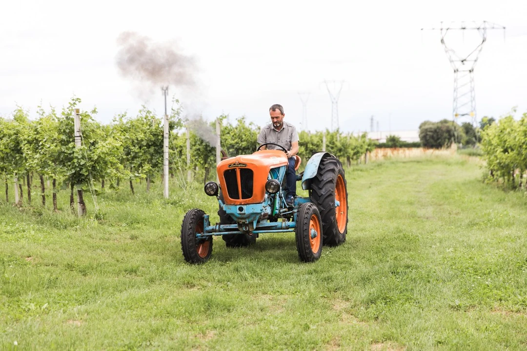 1965 Lamborghini Tractors - Image 9 of 30