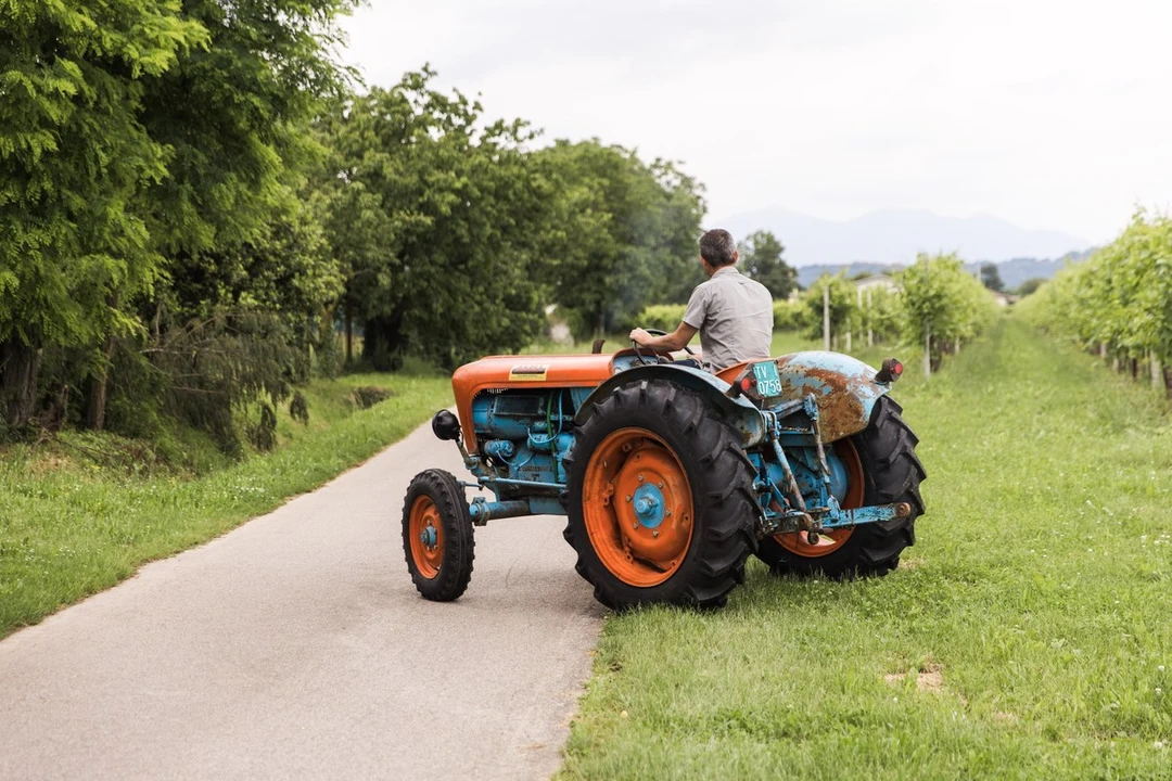 1965 Lamborghini Tractors - Image 10 of 30
