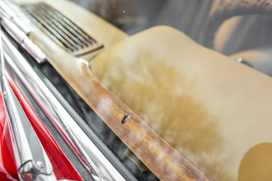 1965 Mercedes-Benz W113 SL-Class - Image 26 of 31