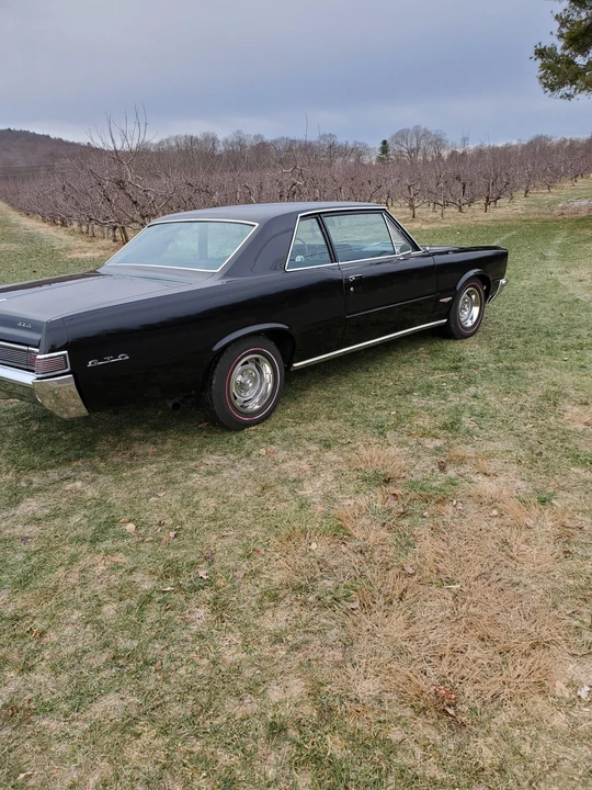 1965 Pontiac GTO 1st Gen - Image 31 of 31
