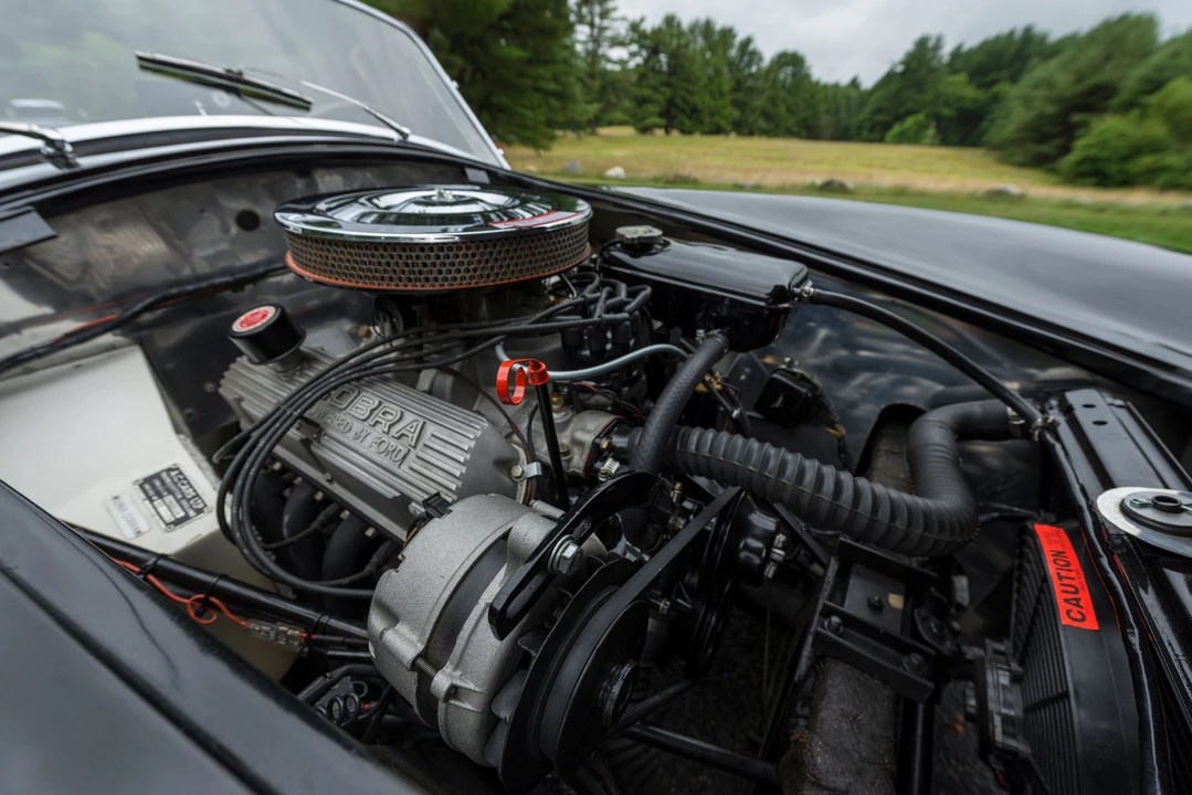 1965 Shelby Cobra 289 - Image 31 of 31
