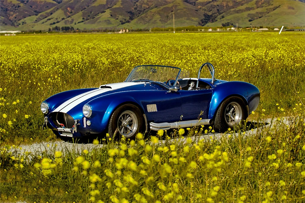 1965 Shelby Cobra Replica - Image 7 of 8