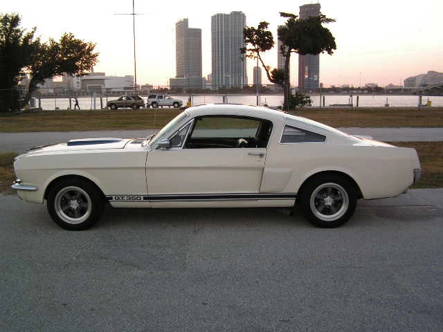 1965 Shelby GT350 - Image 5 of 5