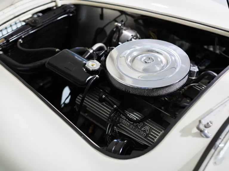 1965 Shelby Cobra 289 - Image 19 of 20