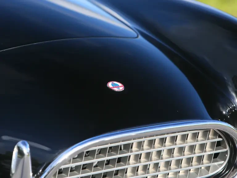 1965 Shelby Cobra 289 - Image 12 of 31