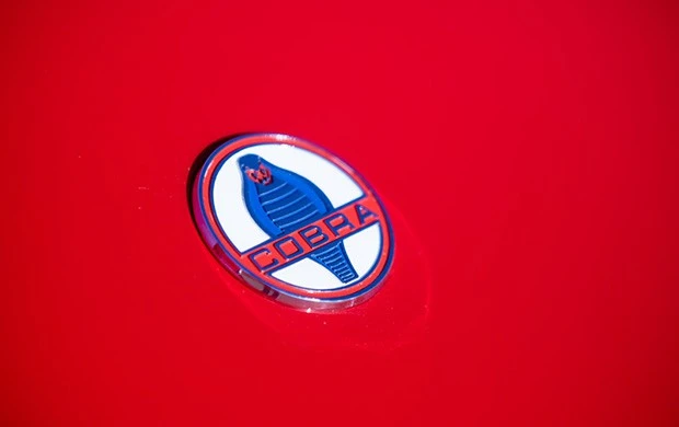 1965 Shelby Cobra 289 - Image 9 of 14