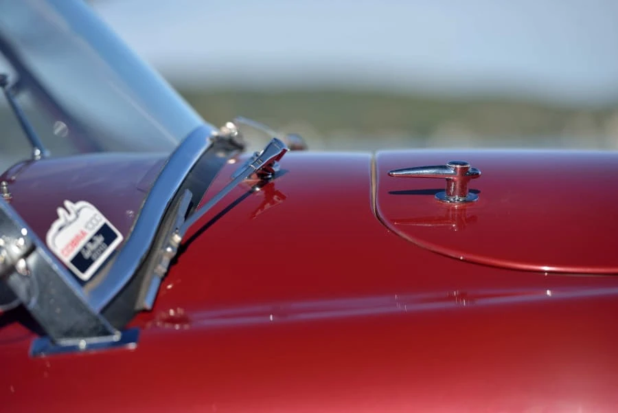 1965 Shelby Cobra 289 - Image 9 of 20