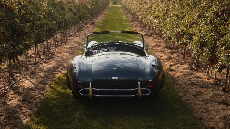 1965 Shelby Cobra 427 - Image 25 of 31