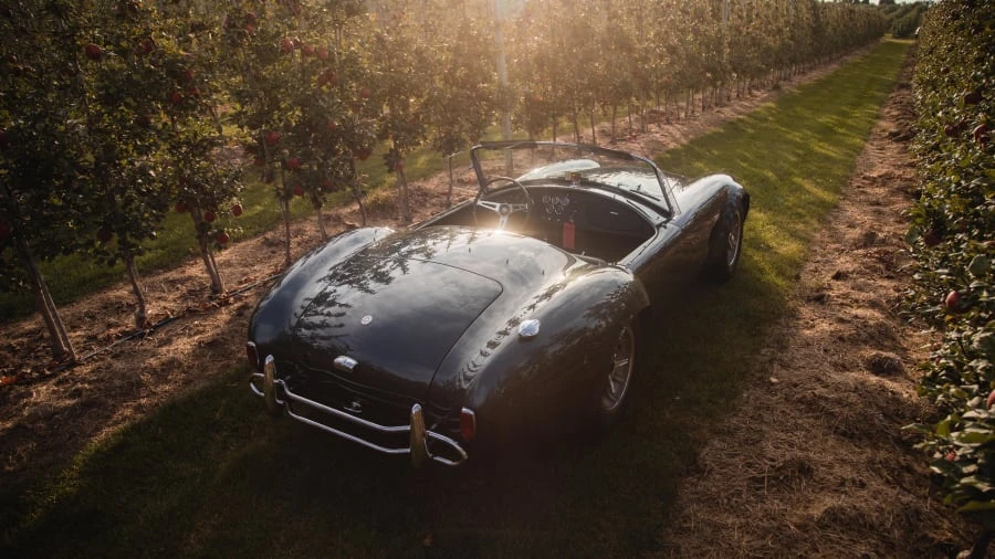 1965 Shelby Cobra 427 - Image 26 of 31