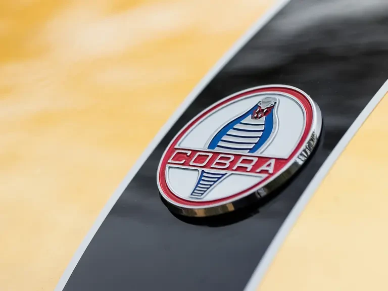 1965 Shelby Cobra 427 - Image 7 of 31