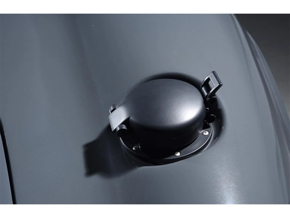 1965 Shelby Cobra 289 - Image 19 of 31
