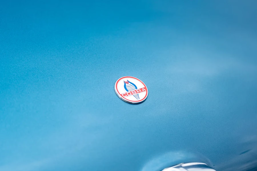 1965 Shelby Cobra 427 - Image 24 of 31