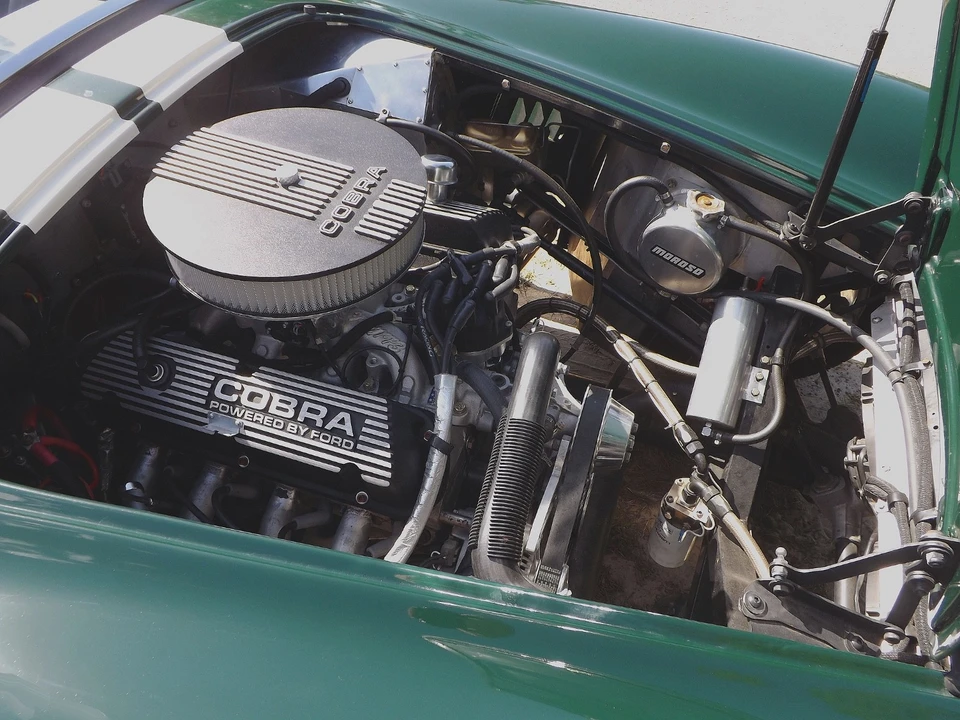 1965 Shelby Cobra - Image 15 of 27