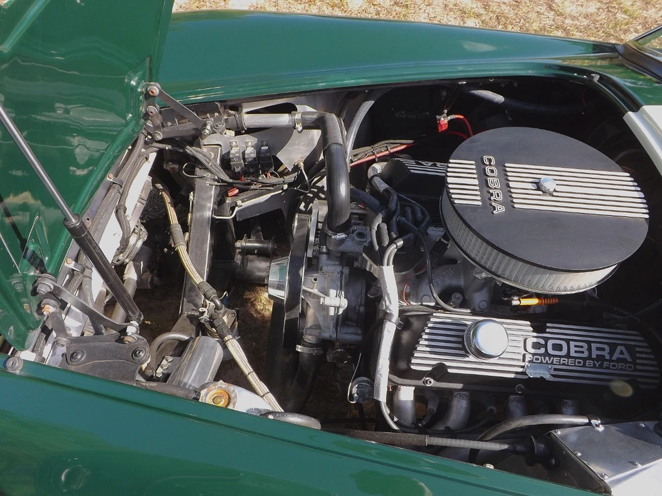 1965 Shelby Cobra - Image 16 of 27