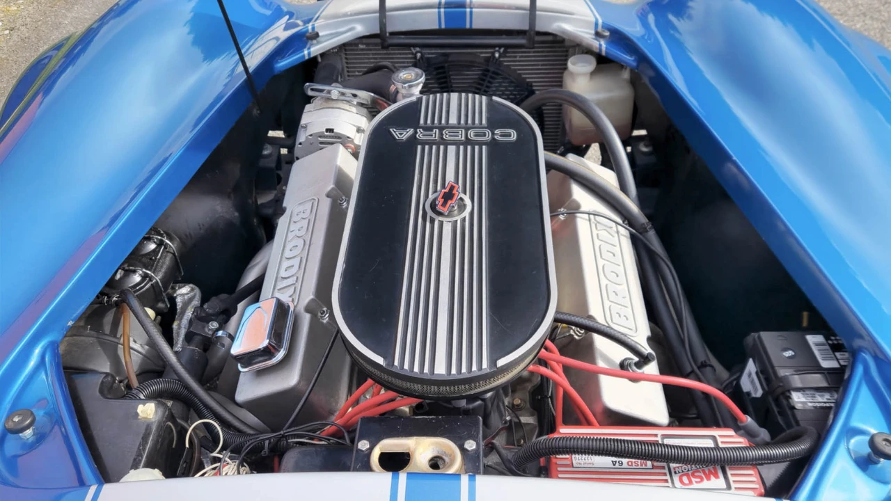 1965 Shelby Cobra Replica - Image 19 of 21