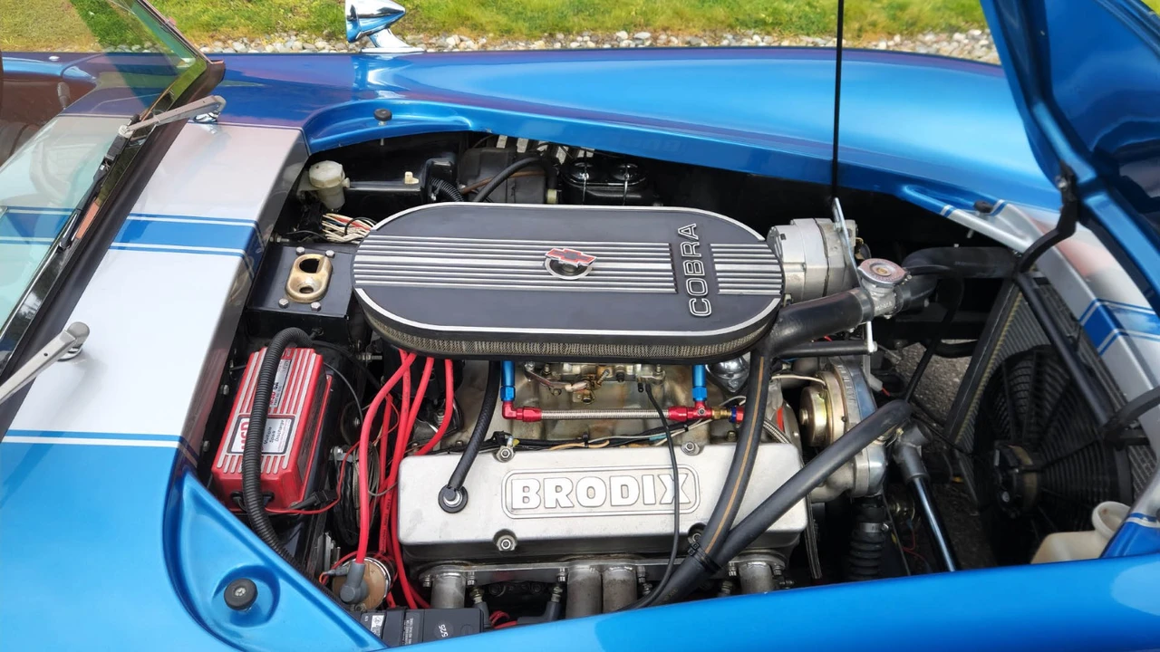1965 Shelby Cobra Replica - Image 20 of 21