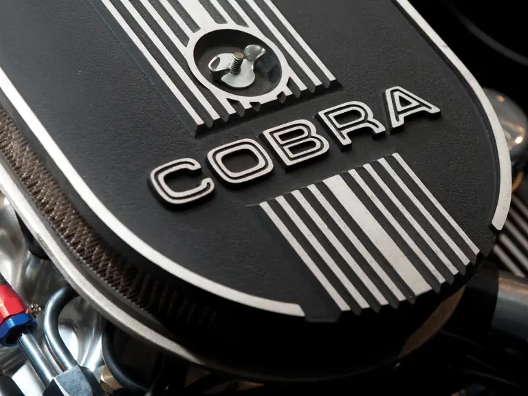 1965 Shelby Cobra Replica - Image 11 of 22