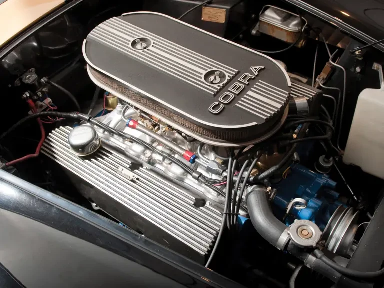 1965 Shelby Cobra Replica - Image 4 of 22