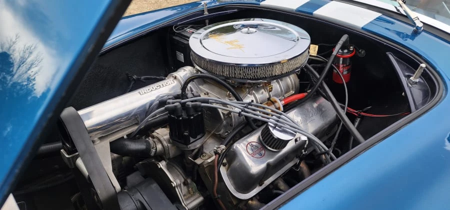 1965 Shelby Cobra Replica - Image 20 of 24