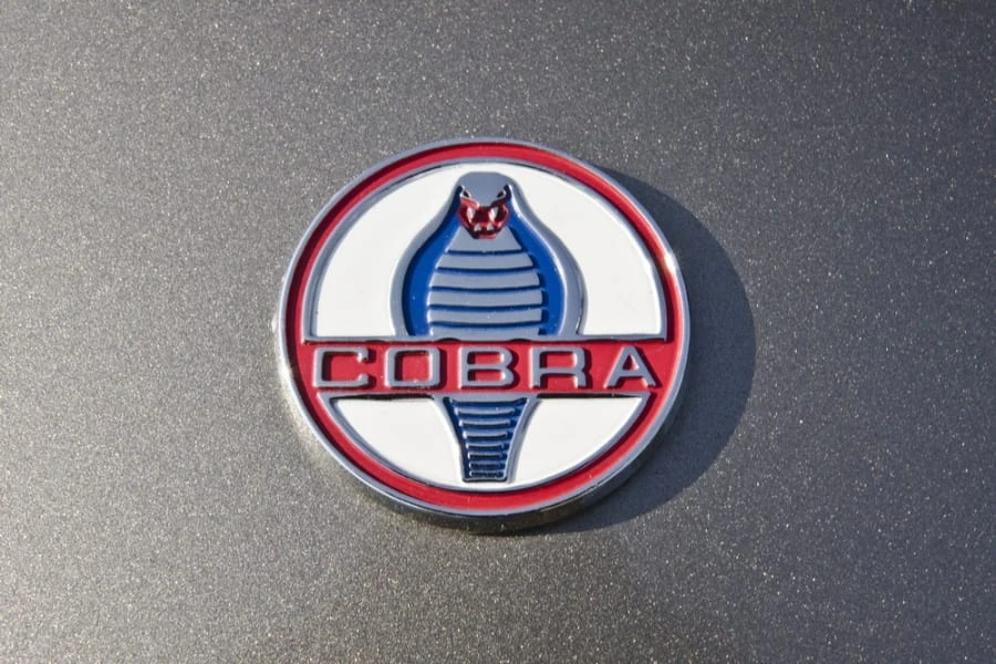 1965 Shelby Cobra Replica - Image 9 of 12