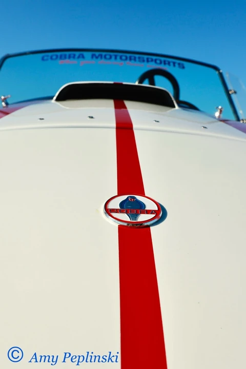1965 Shelby Cobra Replica - Image 8 of 19