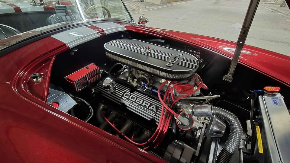1965 Shelby Cobra Replica - Image 19 of 20