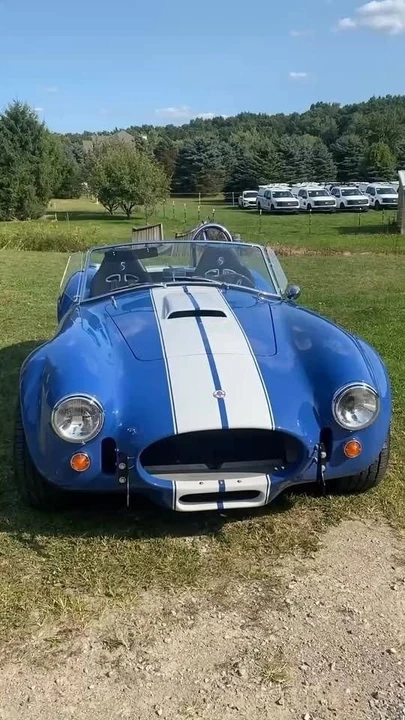 1965 Shelby Cobra Replica - Image 5 of 14