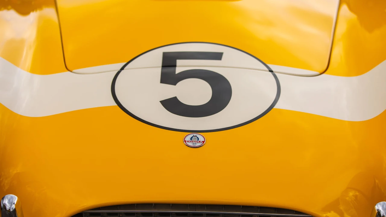 1965 Shelby Cobra 289 - Image 30 of 31