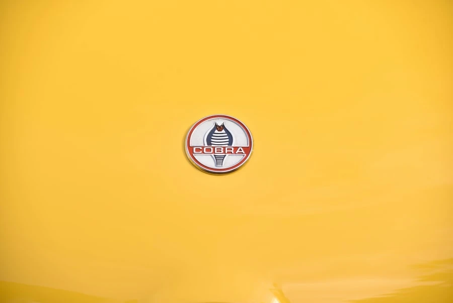 1965 Shelby Cobra 289 - Image 8 of 31