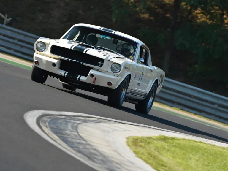 1965 Shelby GT350 - Image 16 of 16