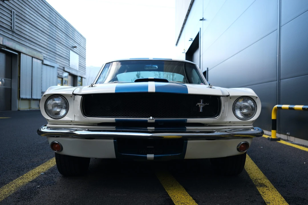 1965 Shelby GT350 - Image 13 of 31