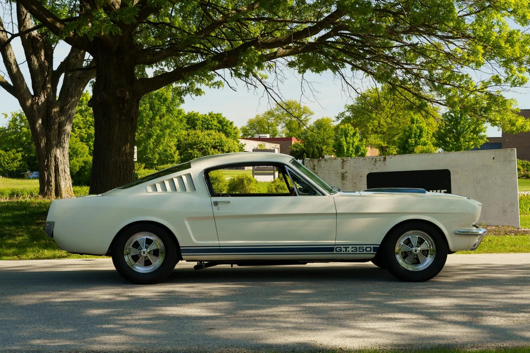 1965 Shelby GT350 - Image 7 of 31