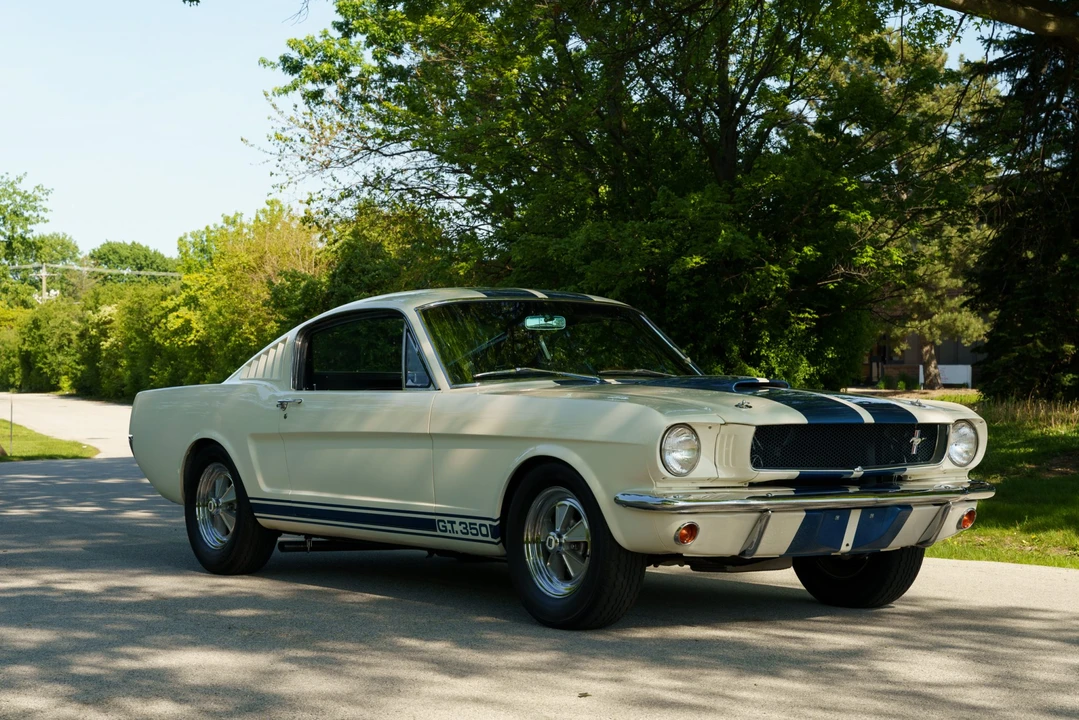 1965 Shelby GT350 - Image 8 of 31