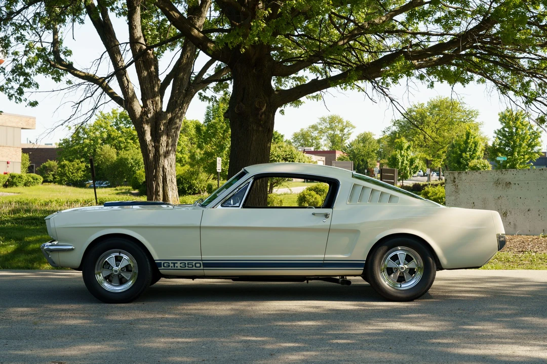 1965 Shelby GT350 - Image 15 of 31