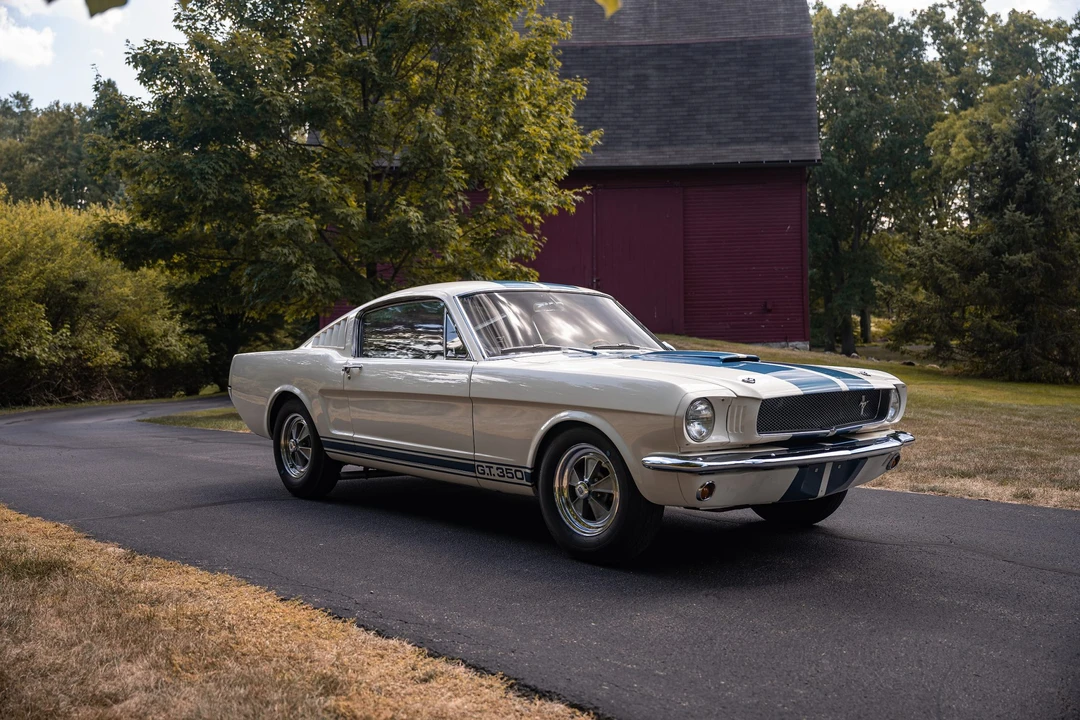 1965 Shelby GT350 - Image 2 of 31