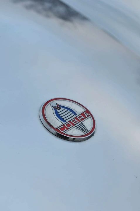 1965 Shelby Cobra 289 - Image 10 of 12