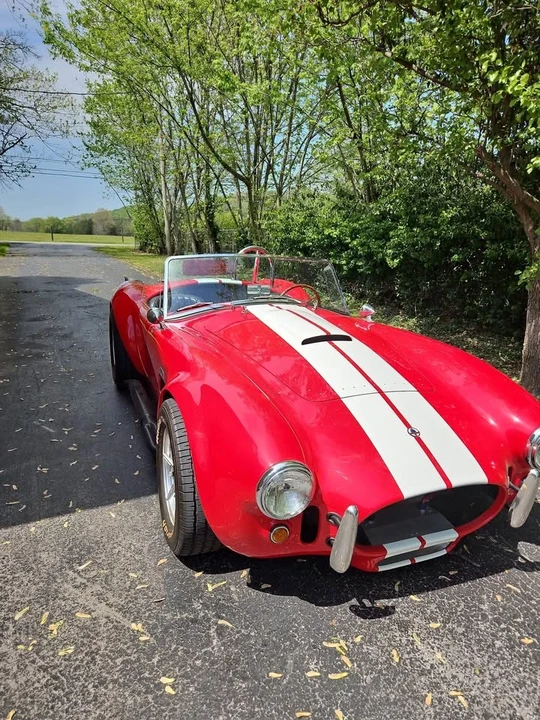 1965 Shelby Cobra - Image 2 of 9