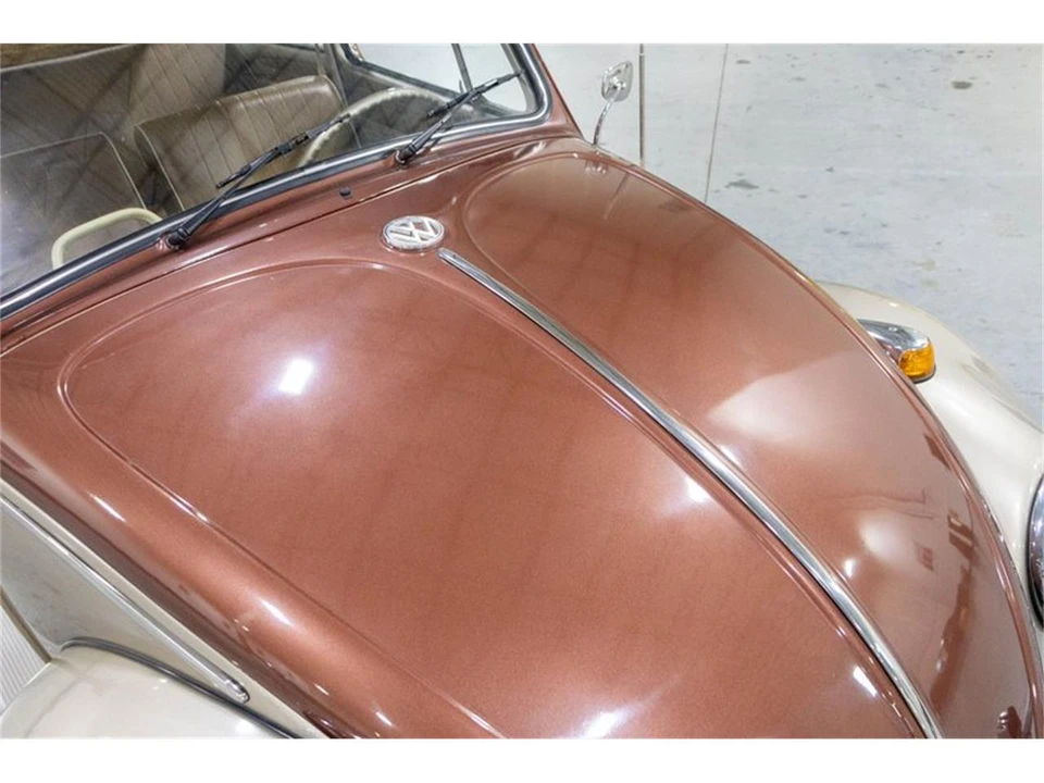 1965 Volkswagen Beetle (1958-1979) - Image 18 of 31