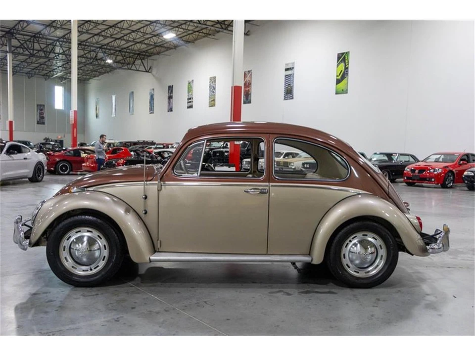 1965 Volkswagen Beetle (1958-1979) - Image 3 of 31