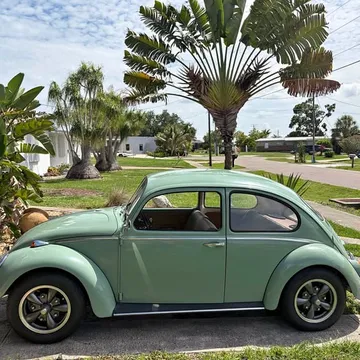 1965 Volkswagen Beetle Base
