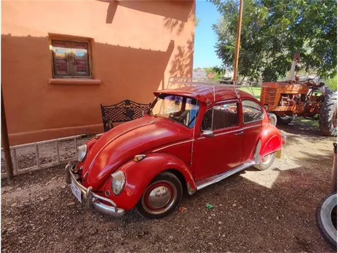 1965 Volkswagen Beetle