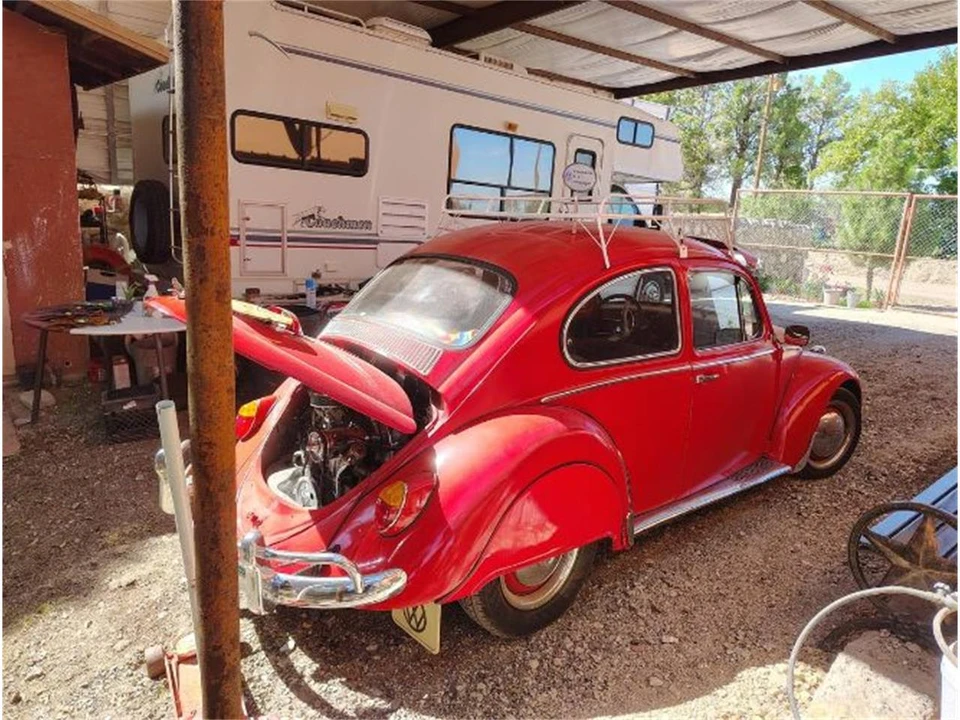 1965 Volkswagen Beetle (1958-1979) - Image 8 of 10