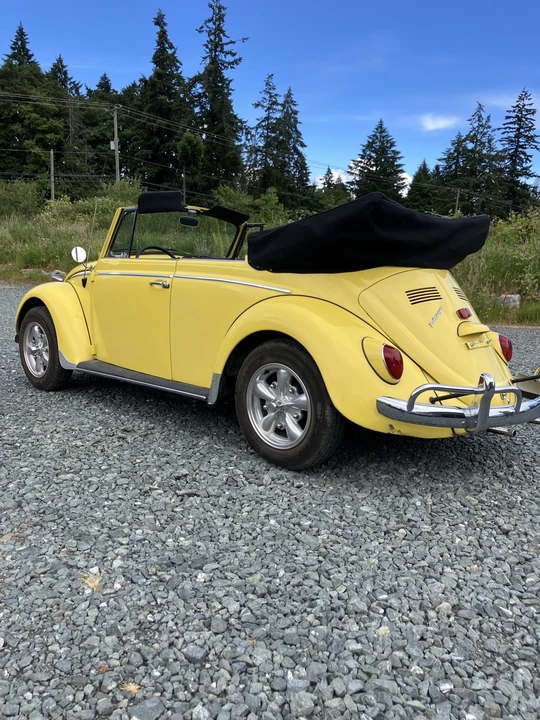 1965 Volkswagen Beetle (1958-1979) - Image 6 of 31