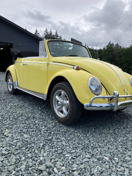1965 Volkswagen Beetle (1958-1979) - Image 14 of 31