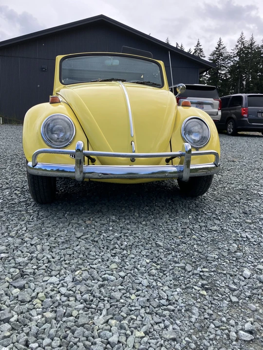 1965 Volkswagen Beetle (1958-1979) - Image 25 of 31