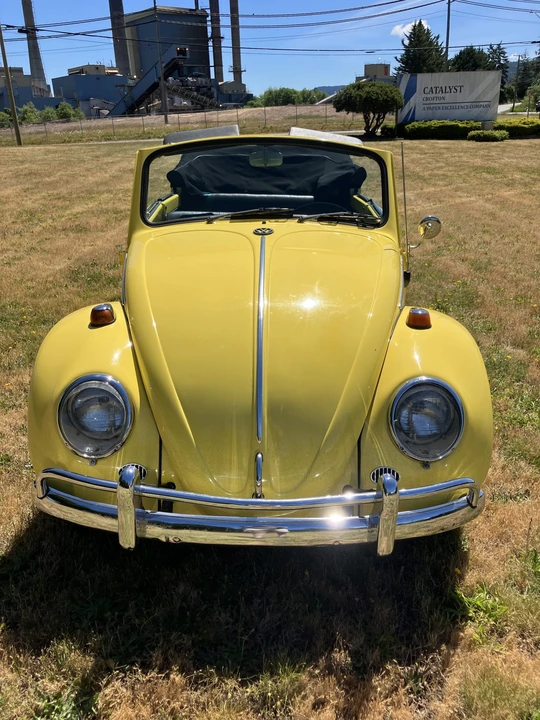 1965 Volkswagen Beetle (1958-1979) - Image 15 of 31