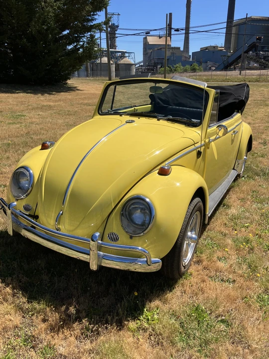 1965 Volkswagen Beetle (1958-1979) - Image 2 of 31