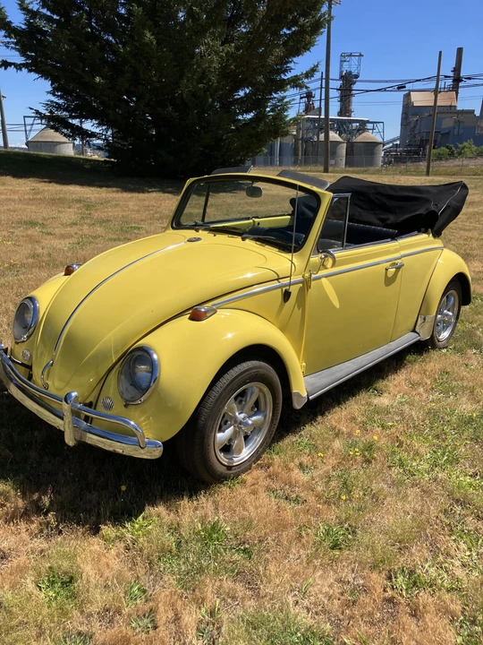 1965 Volkswagen Beetle (1958-1979) - Image 3 of 31